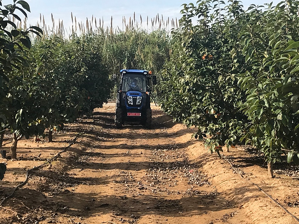 Solis-N90-4